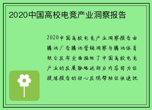2020中国高校电竞产业洞察报告